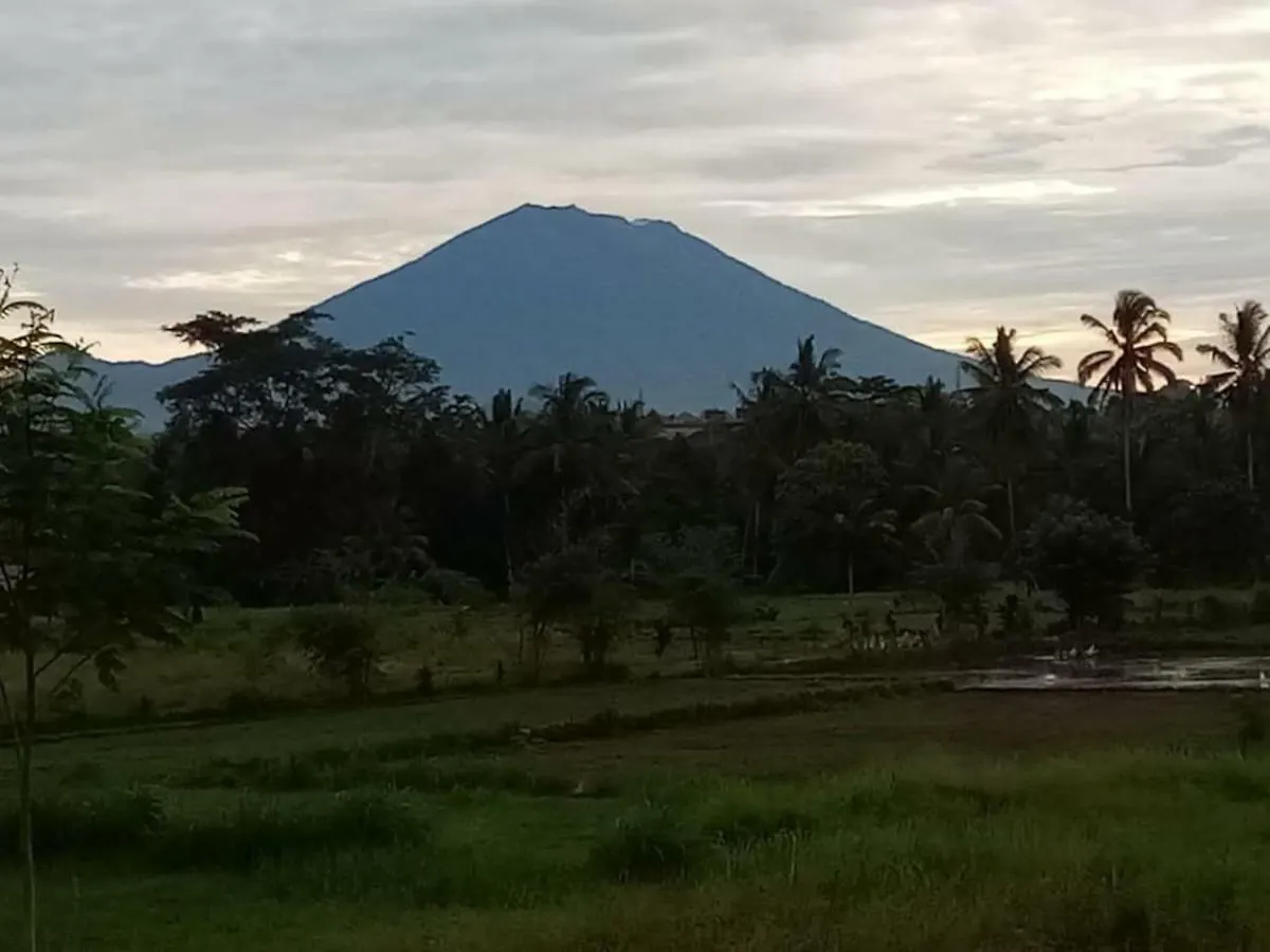 Villa Tenang Ubud